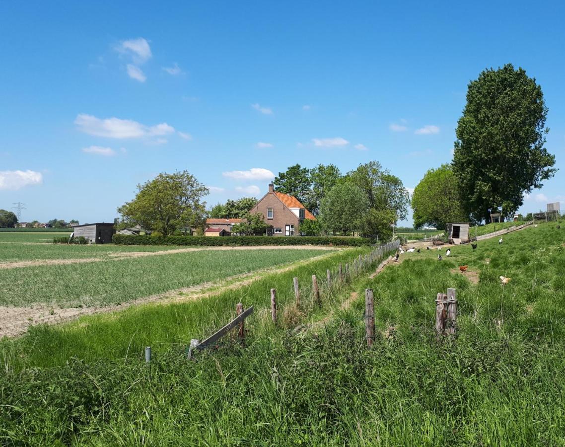 Апартаменти “In Oans Oefje” Parel In De Polder! Lewedorp Екстер'єр фото