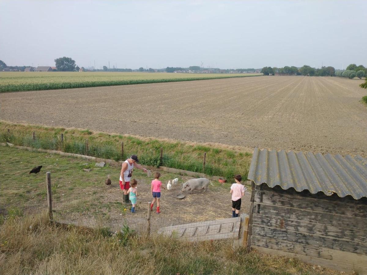 Апартаменти “In Oans Oefje” Parel In De Polder! Lewedorp Екстер'єр фото